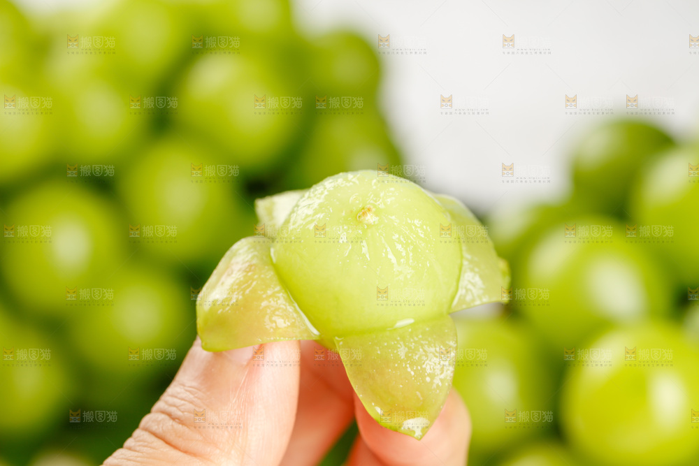 浅底上的阳光玫瑰青提