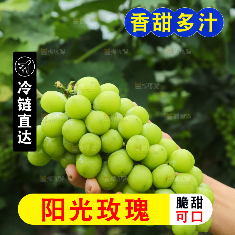 手里拿着阳光玫瑰