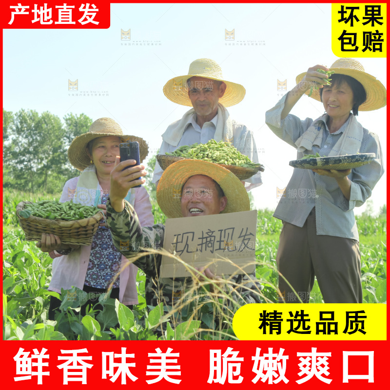 手里拿着现摘毛豆