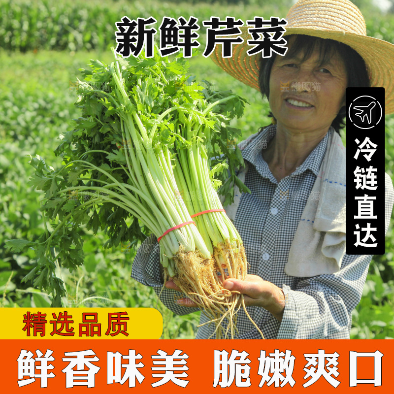 手里拿着新鲜芹菜