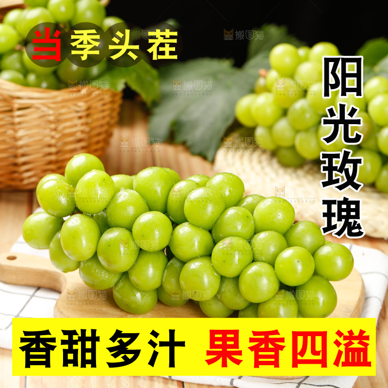 浅底上的阳光玫瑰青提