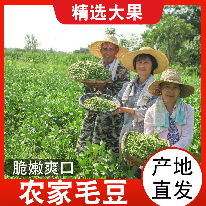手里拿着现摘毛豆