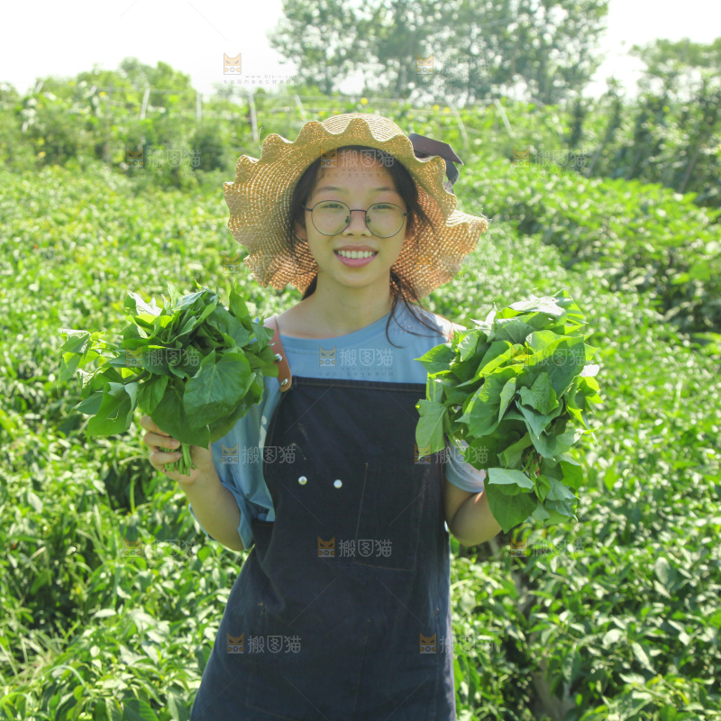 手里拿着苕尖