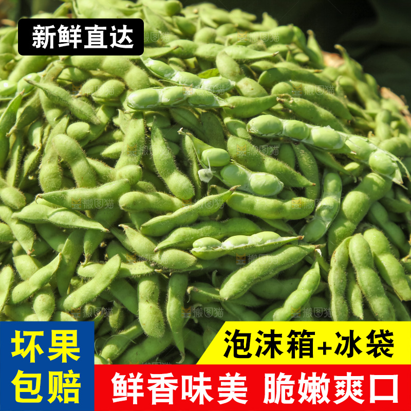 手里拿着现摘毛豆