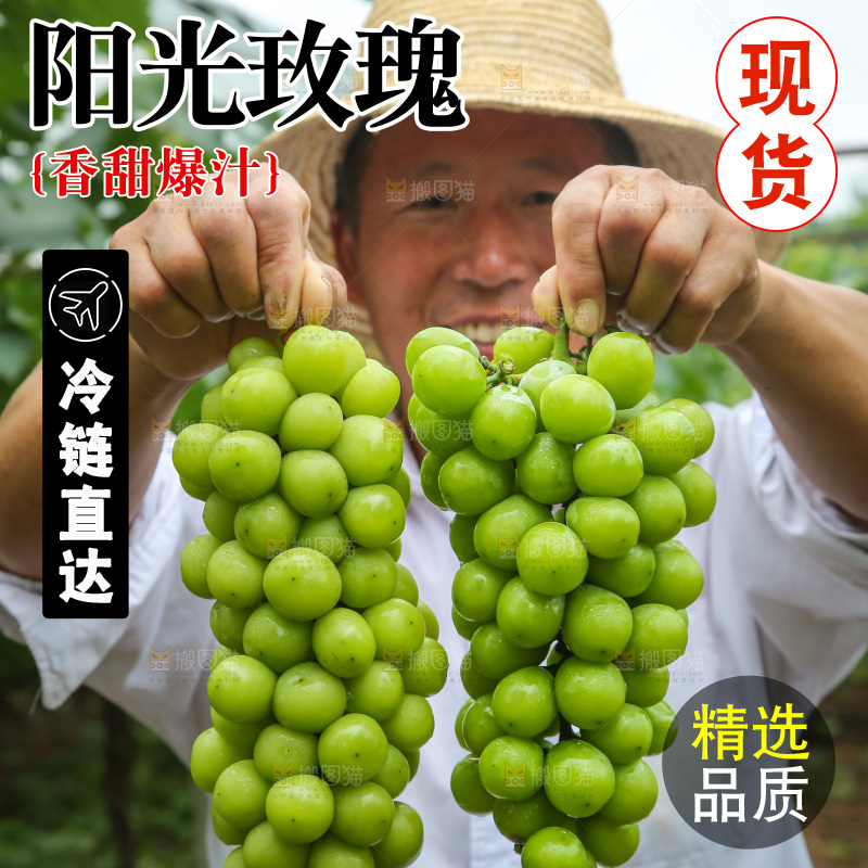 手里拿着阳光玫瑰