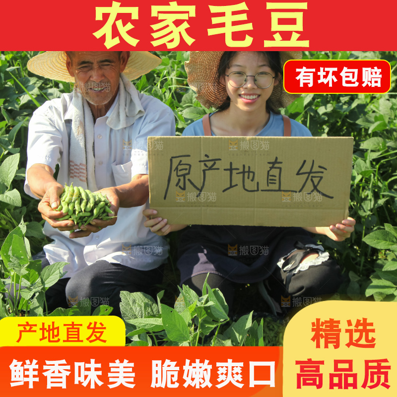 手里拿着现摘毛豆