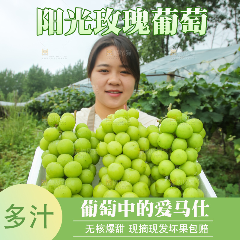 手里拿着阳光玫瑰