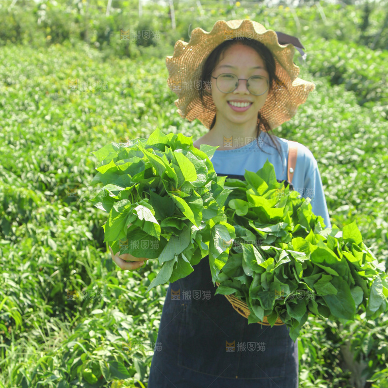 手里拿着苕尖