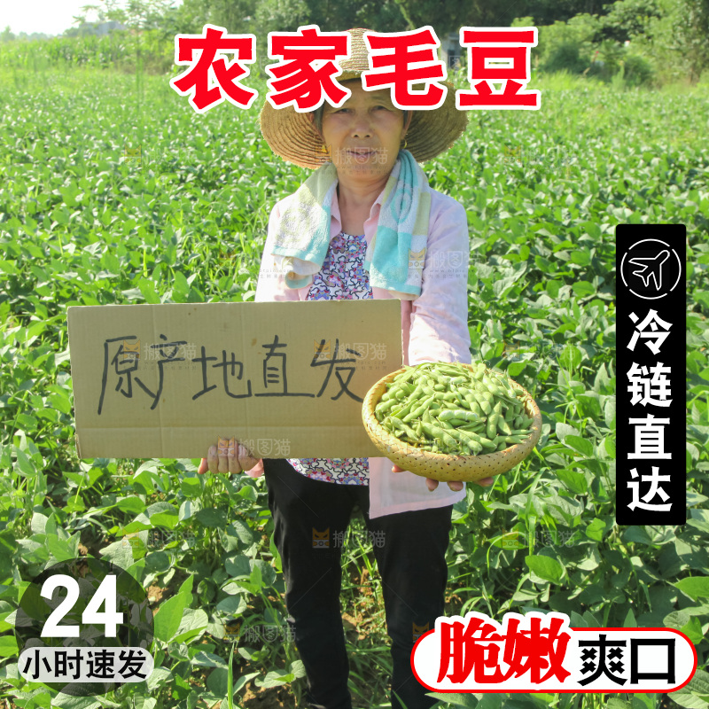 手里拿着现摘毛豆