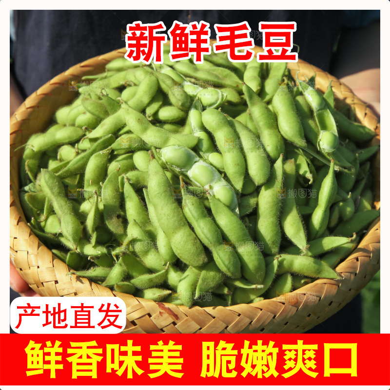 手里拿着现摘毛豆