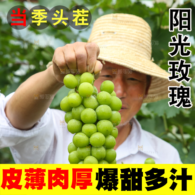 手里拿着阳光玫瑰