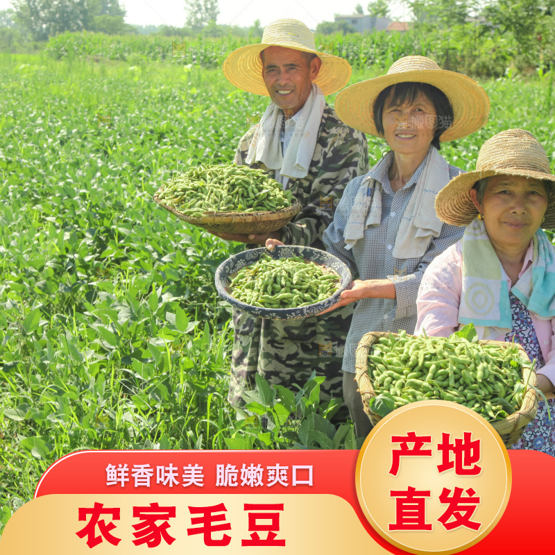手里拿着现摘毛豆