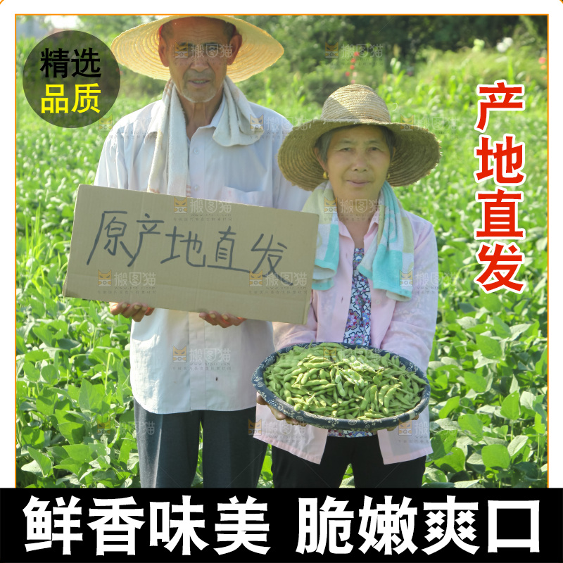 手里拿着现摘毛豆