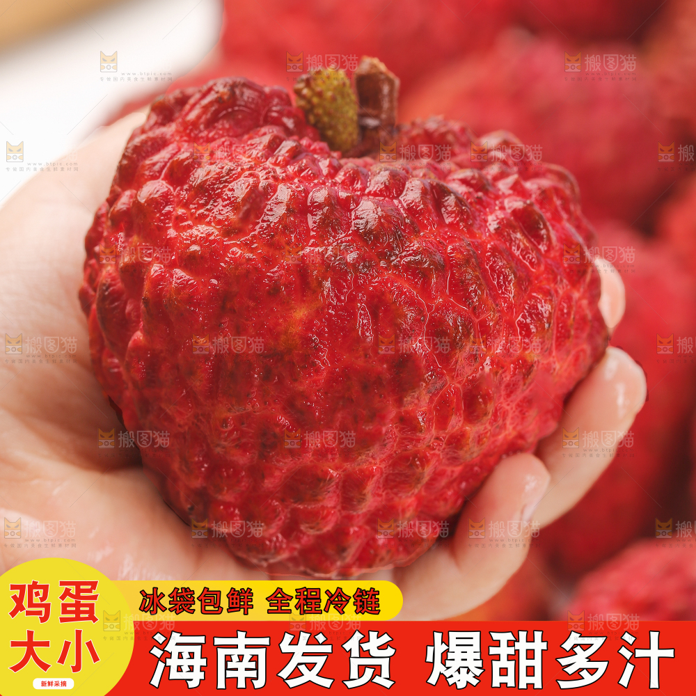 荔枝王主图