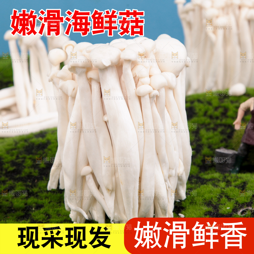 海鲜菇主图
