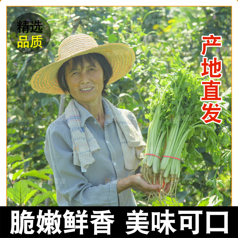 手里拿着新鲜芹菜