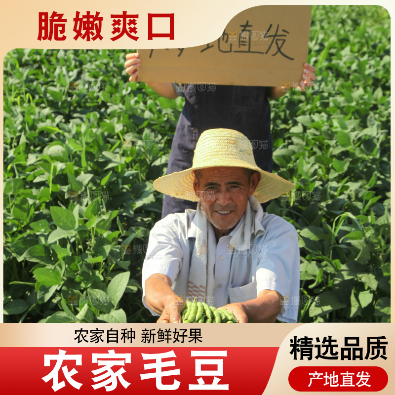 手里拿着现摘毛豆