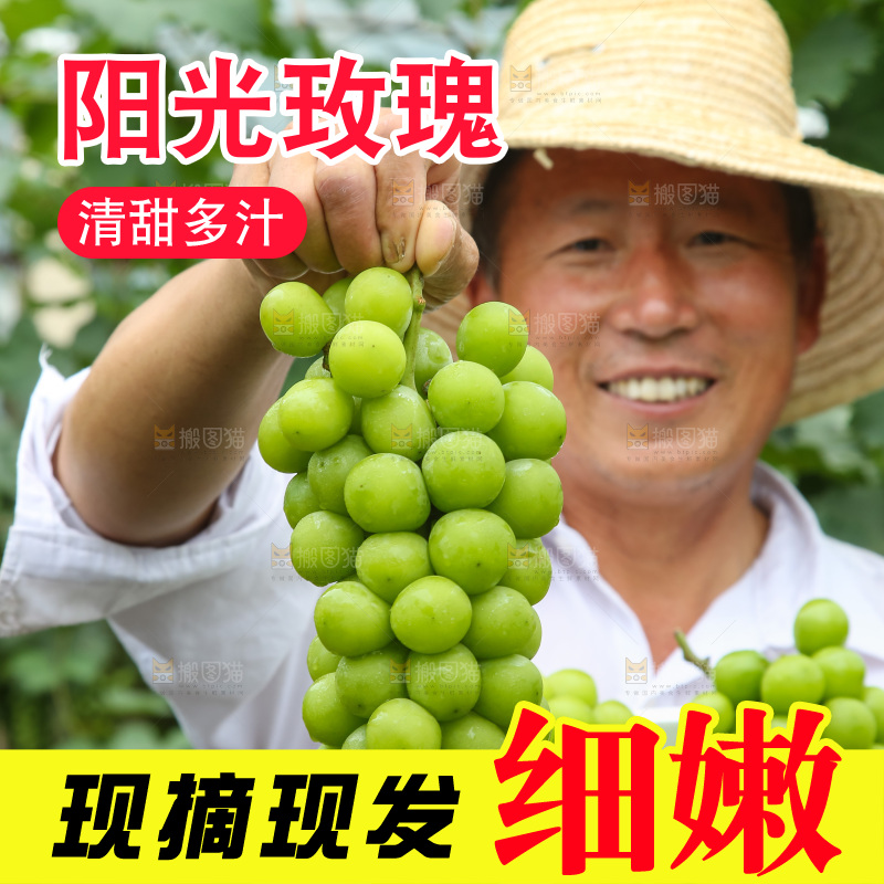 手里拿着阳光玫瑰