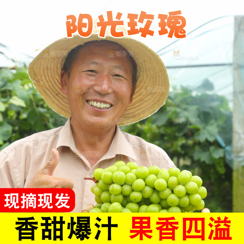 手里拿着阳光玫瑰