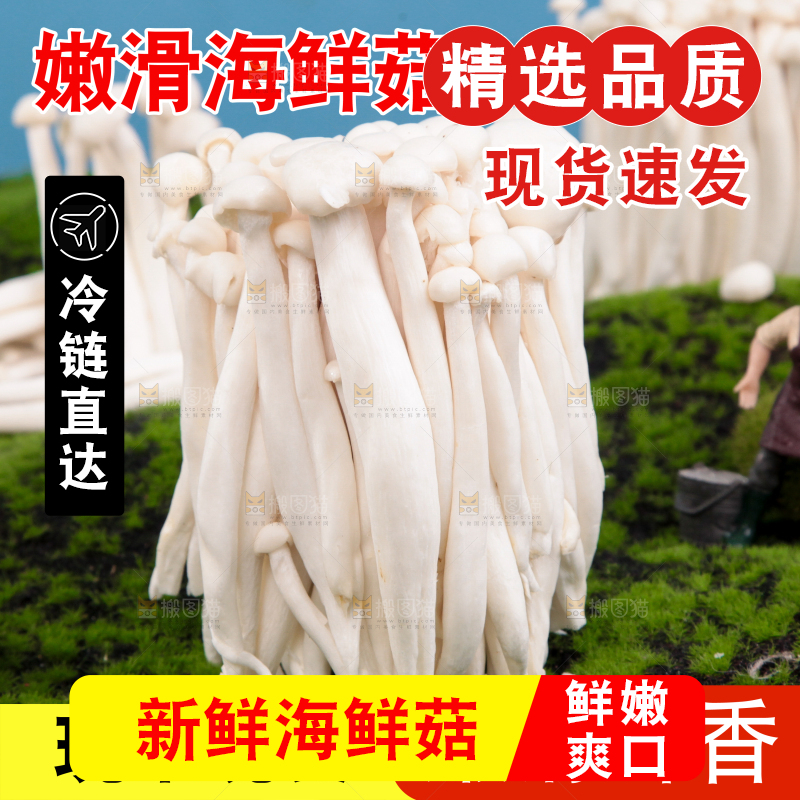海鲜菇主图