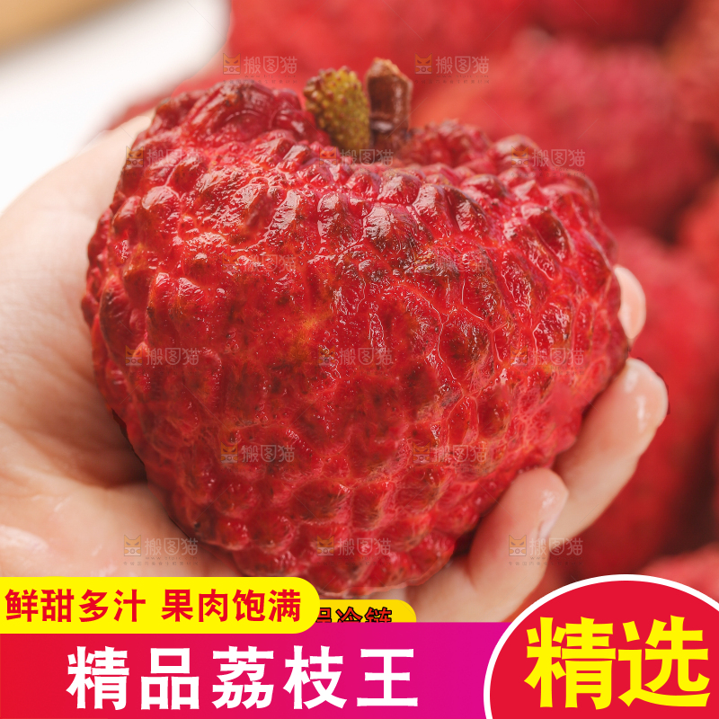 荔枝王主图