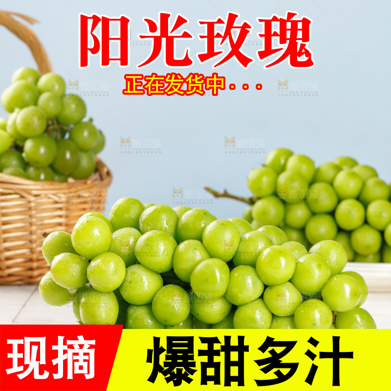 浅底上的阳光玫瑰青提