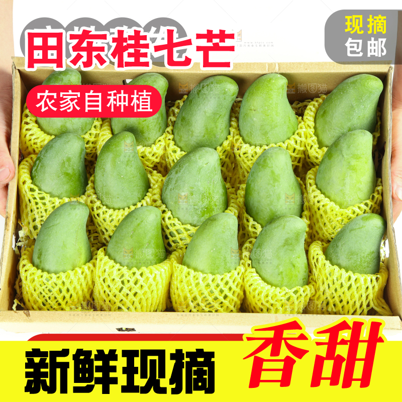 桂七芒主图