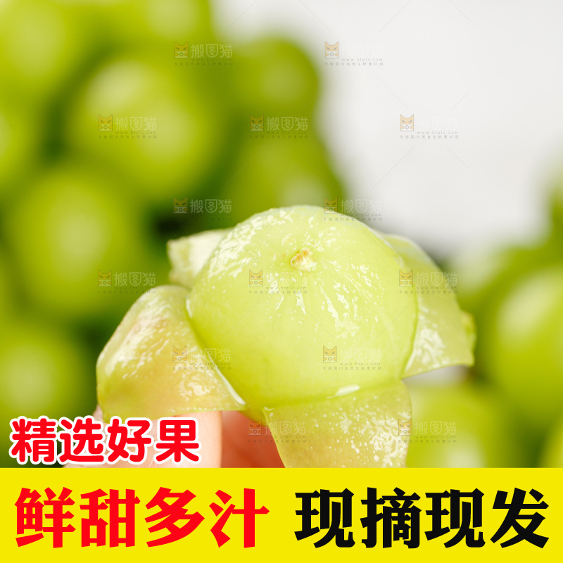 浅底上的阳光玫瑰青提