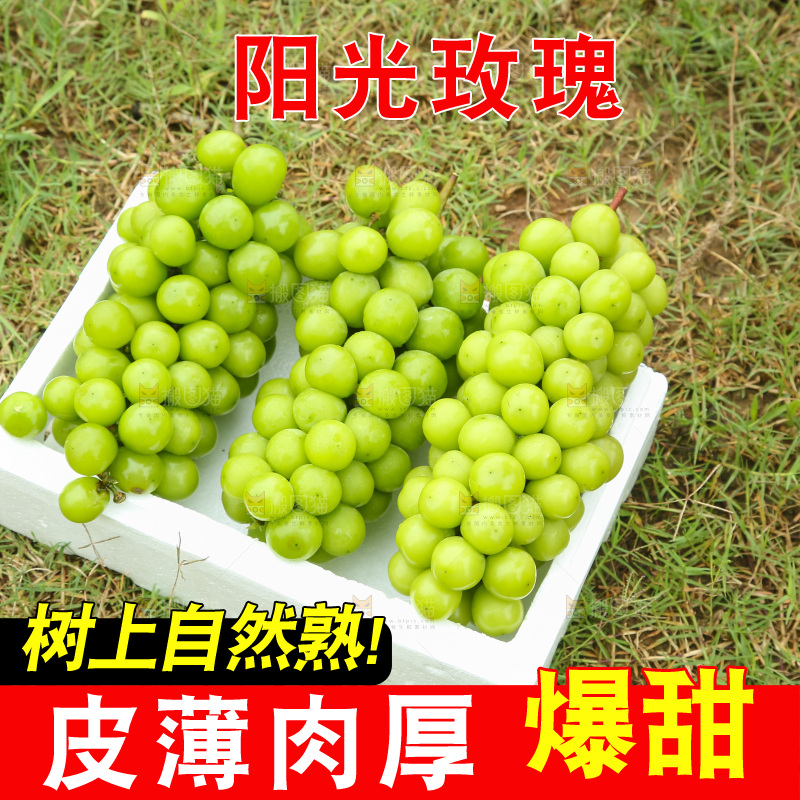 草地上放着阳光玫瑰青提
