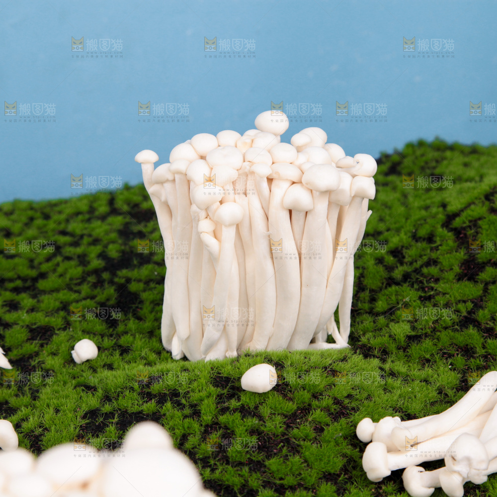 深底上的海鲜菇