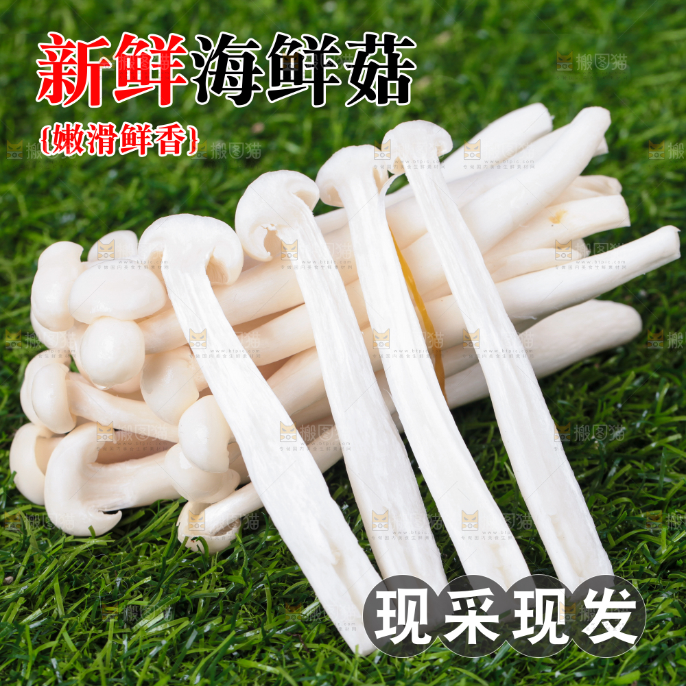 海鲜菇主图