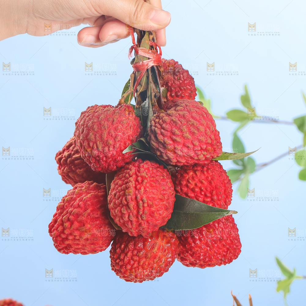 手里拿着荔枝王