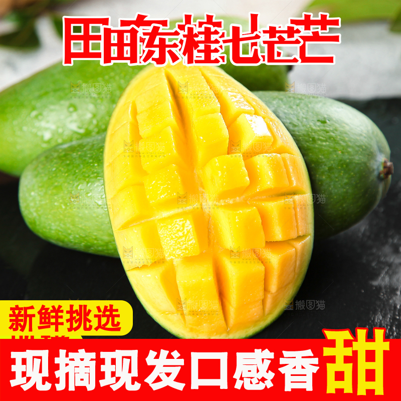 桂七芒主图