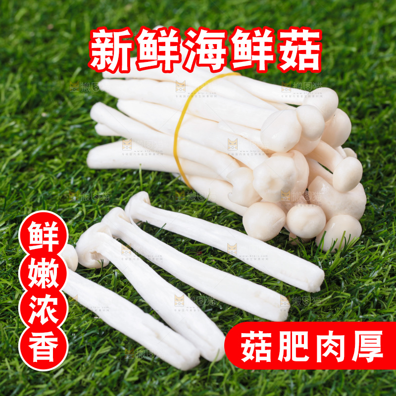 深底上的海鲜菇