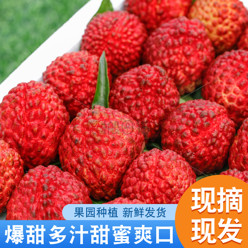 手里拿着荔枝王