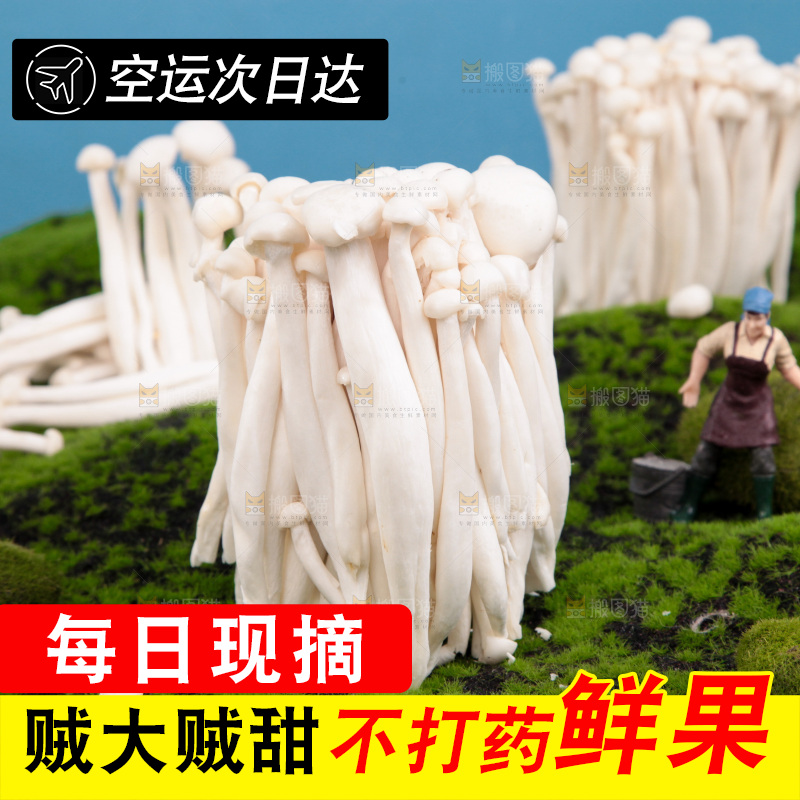 深底上的海鲜菇