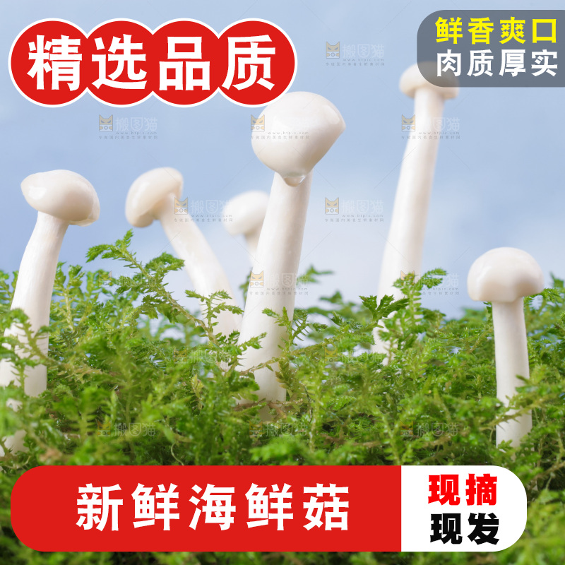 深底上的海鲜菇