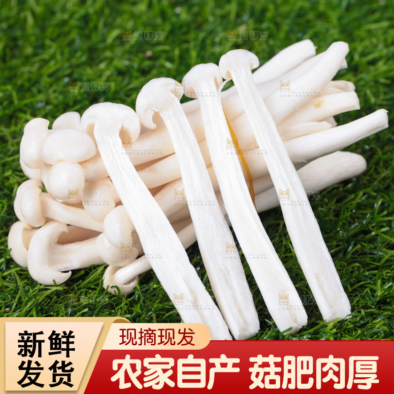 深底上的海鲜菇