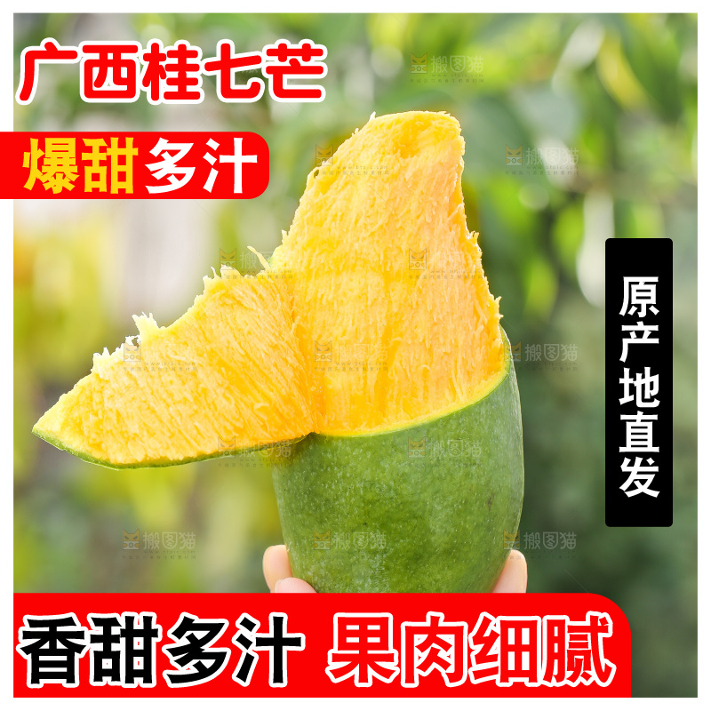 浅底上的桂七芒
