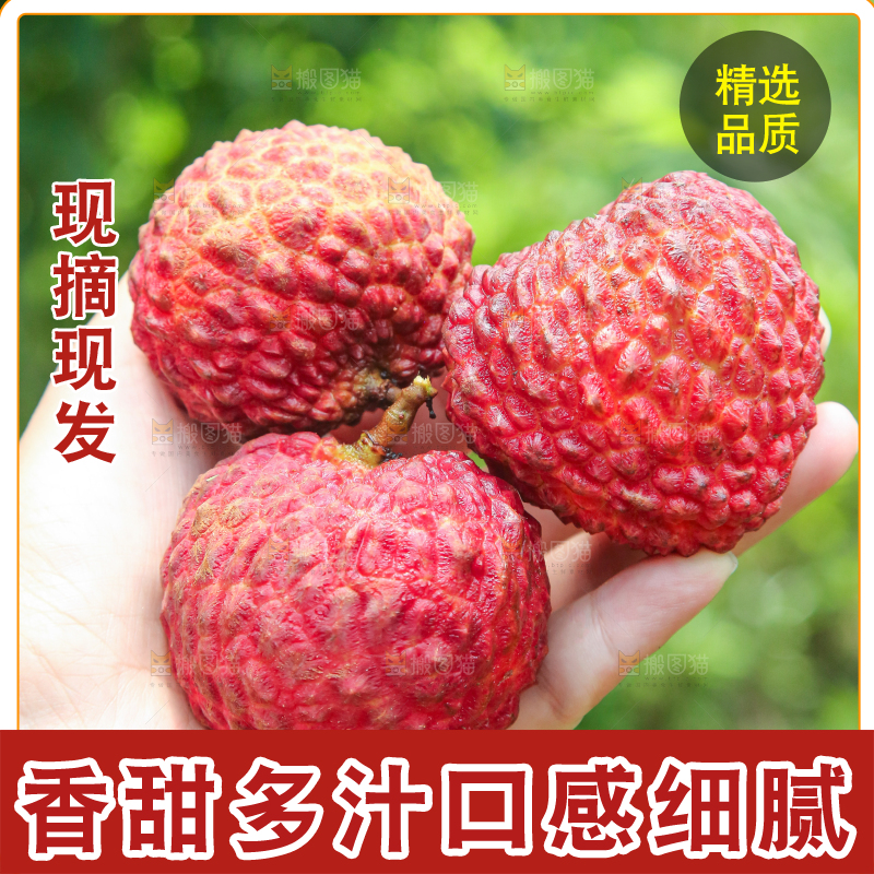 手里拿着荔枝王