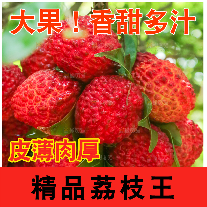 手里拿着荔枝王