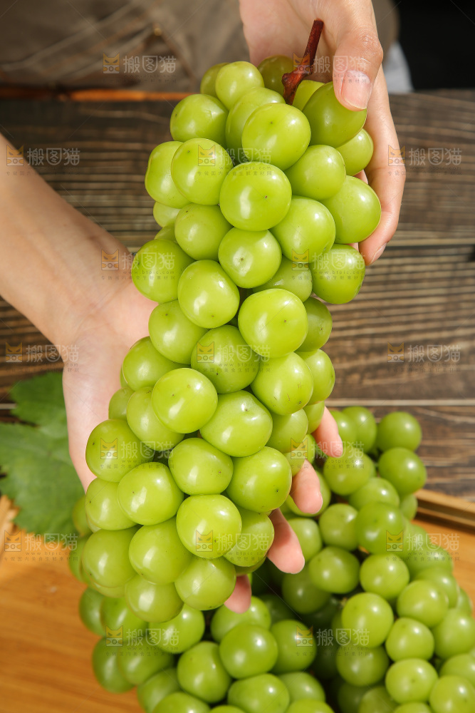 阳光玫瑰青提