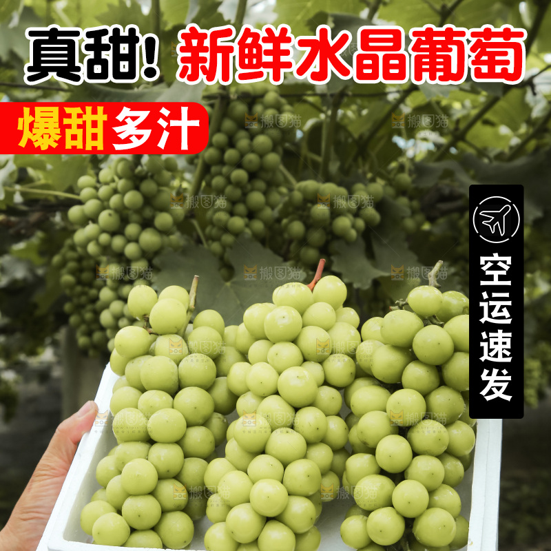 手里拿着水晶葡萄