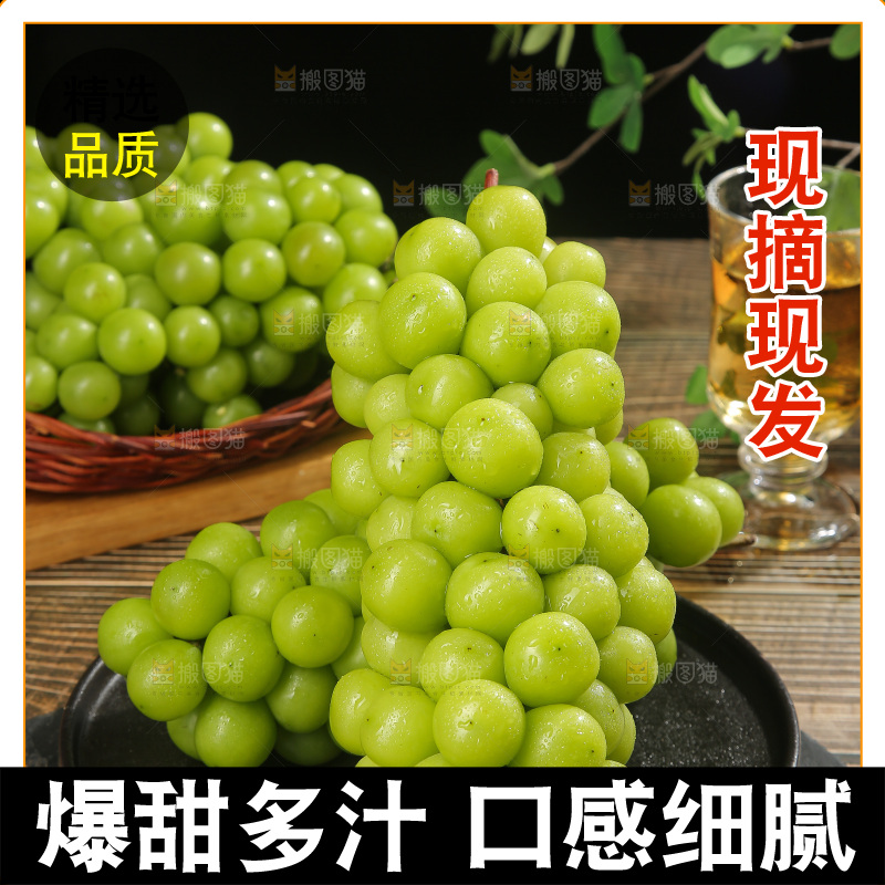 深底上放着阳光玫瑰青提