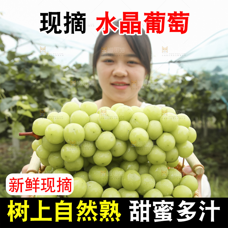 手里拿着水晶葡萄