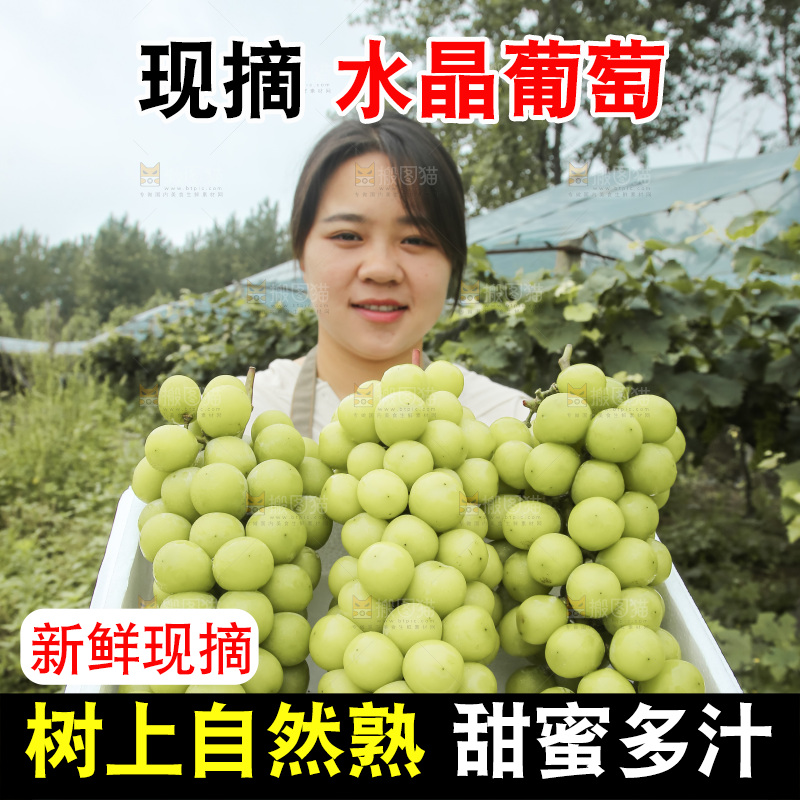 手里拿着水晶葡萄