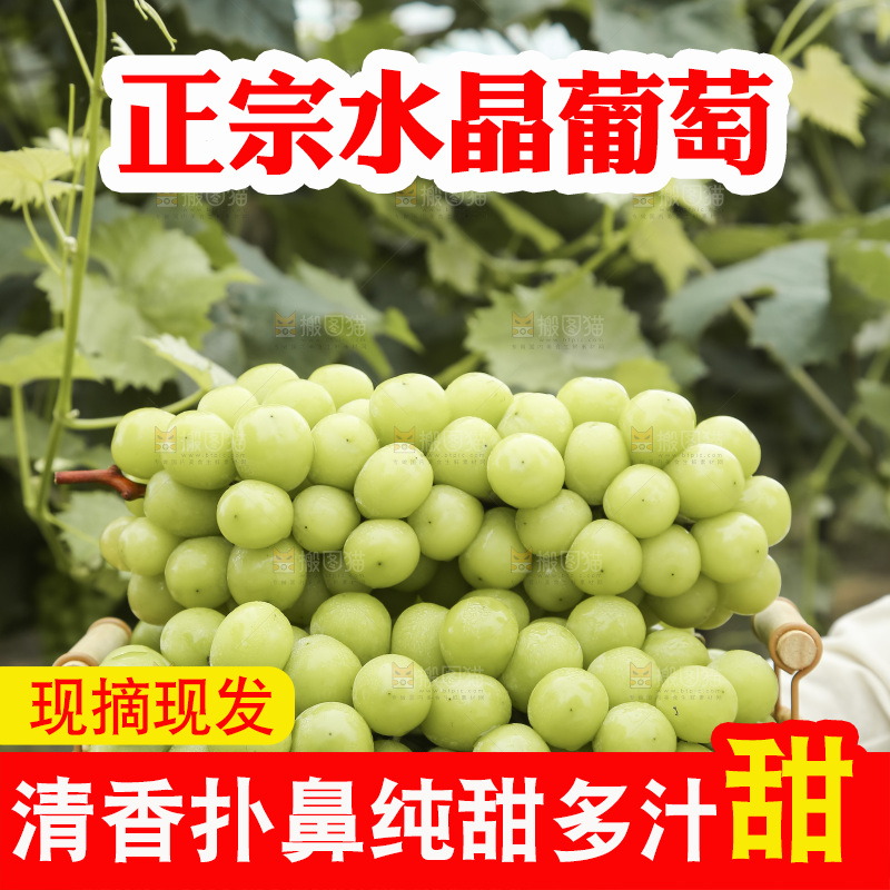手里拿着水晶葡萄