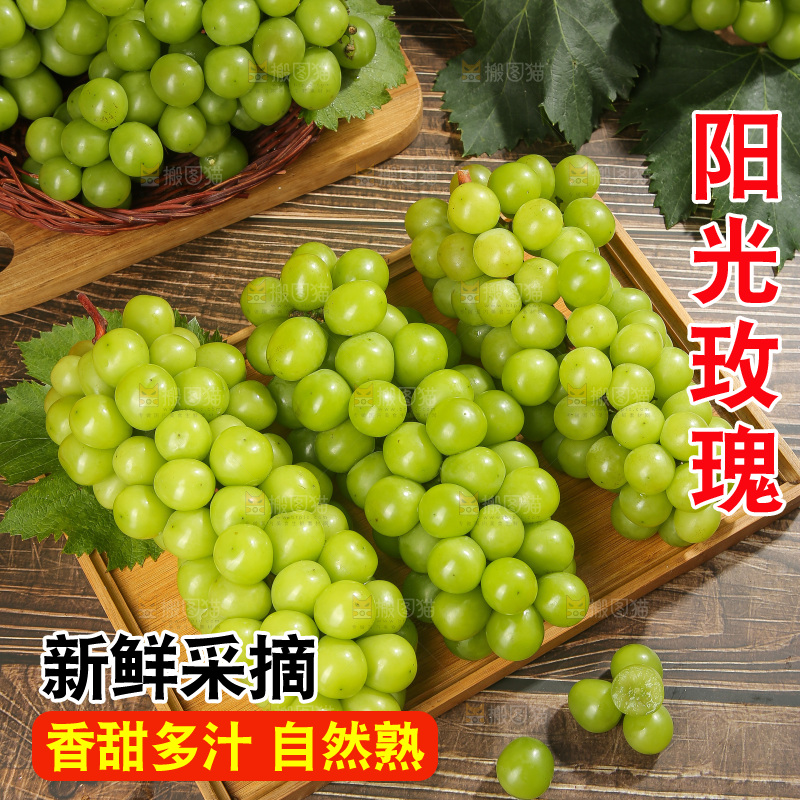 阳光玫瑰青提主图