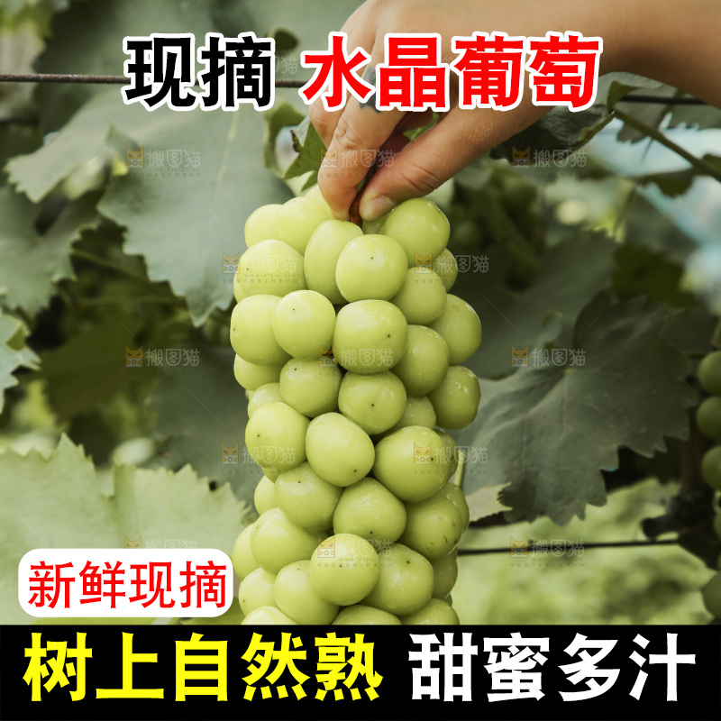 手里拿着水晶葡萄