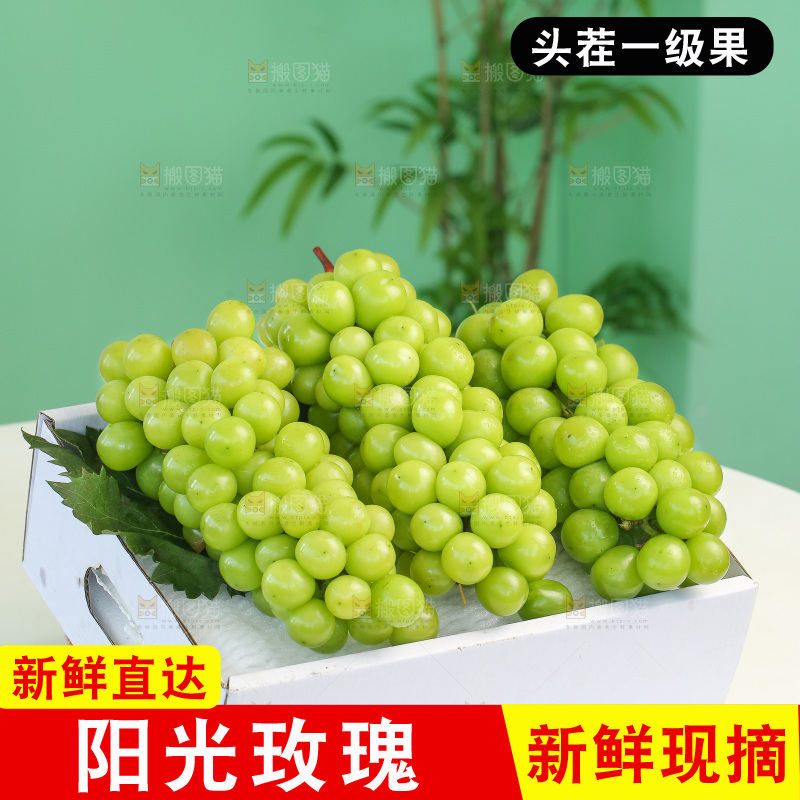 深底上放着阳光玫瑰青提